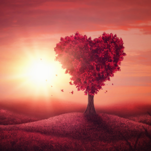 האם נכון לשפוט את הילד ובכלל?