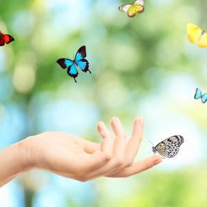 האם החיים הם מתנה? 